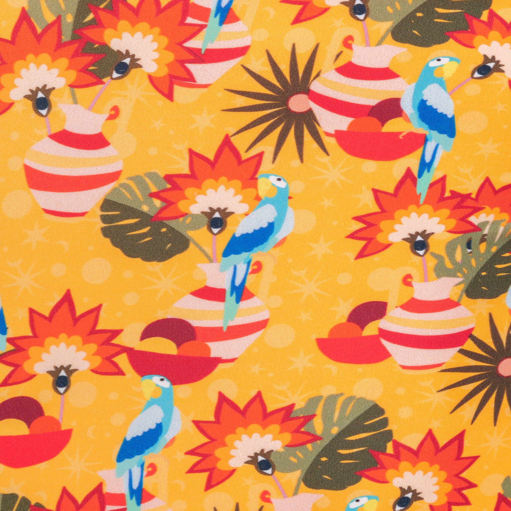 Image 06: Rio De Sol Top Top Stories Kate