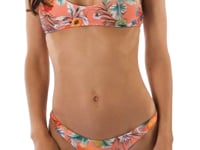Set Frutti Bralette Essential