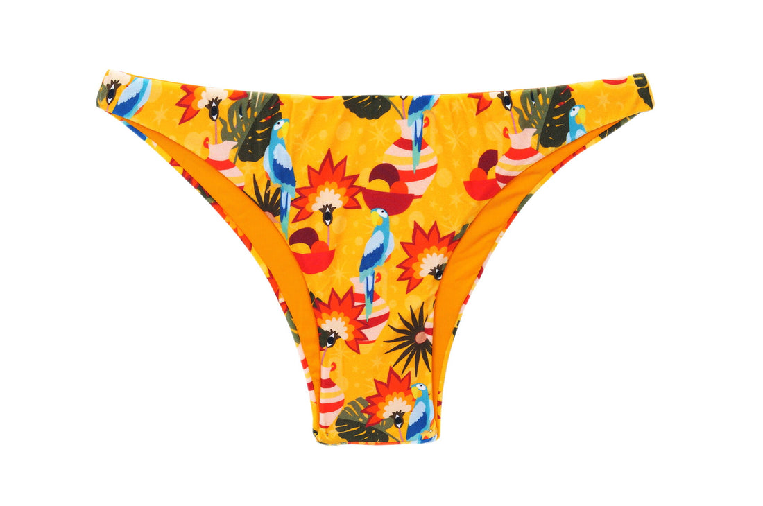 Product Front: Rio De Sol Bikini Bottoms Bottom Stories Leblon