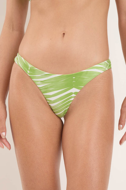 Gallery: Rio De Sol Bottom Bottom Palms Nice