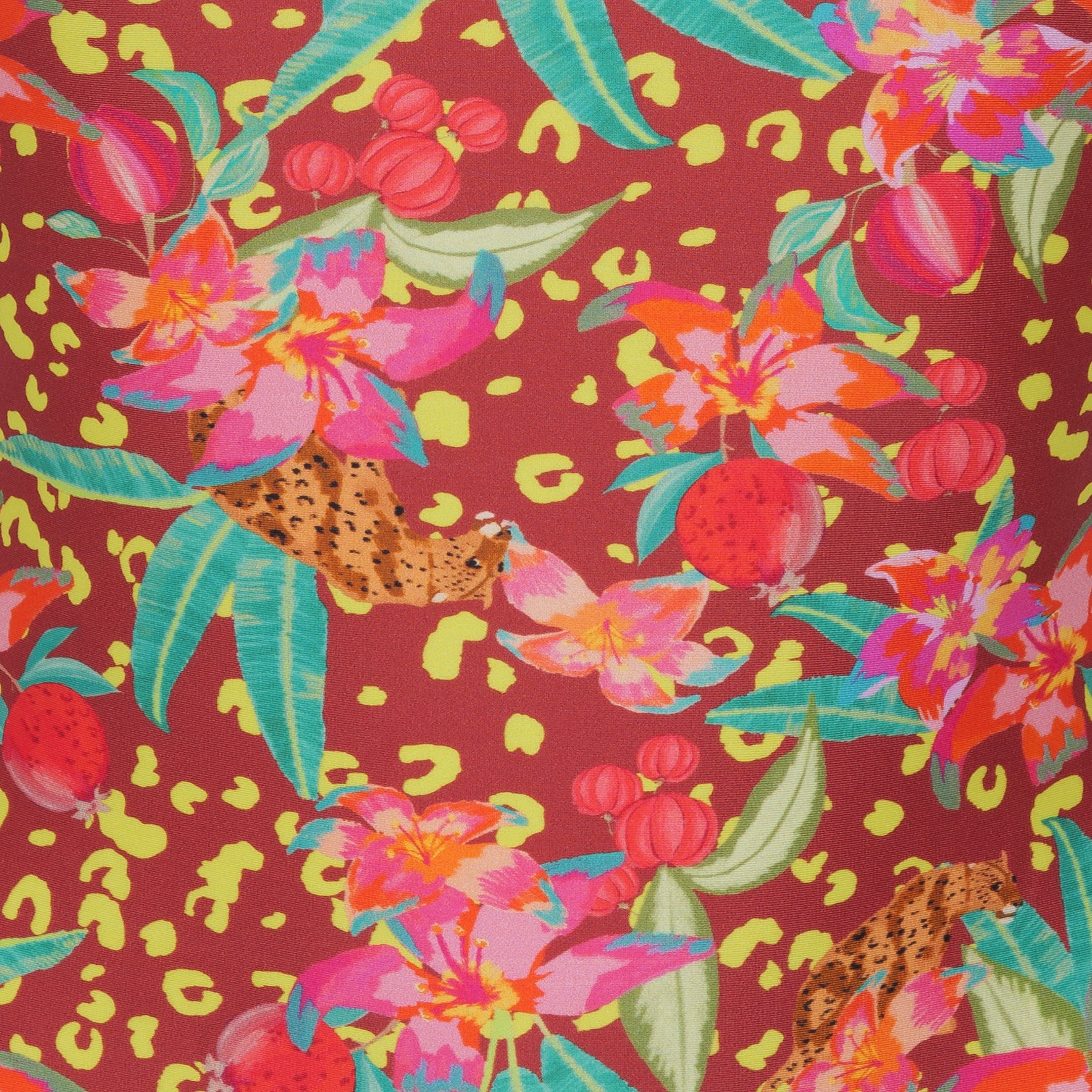 Tropics
